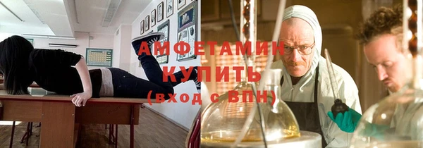 apvp Ельня