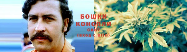 apvp Ельня