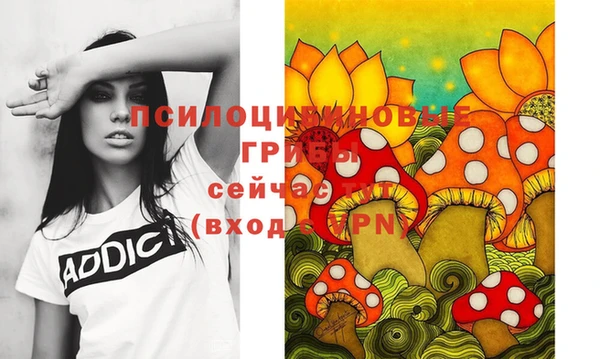 apvp Ельня