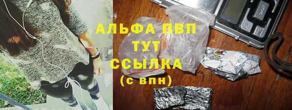 apvp Ельня