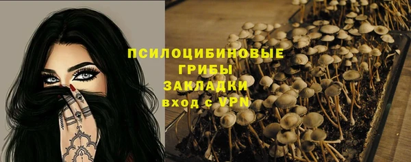 apvp Ельня