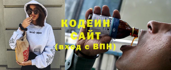 apvp Ельня
