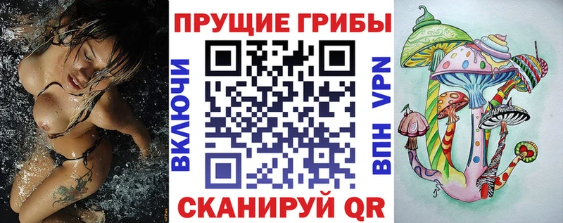 Купить закладки Касли Псилоцибиновые грибы Cubensis