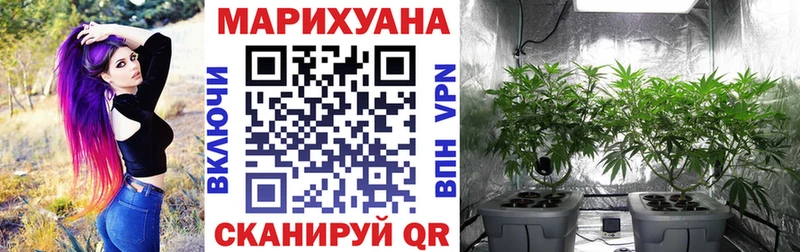 Купить закладки  Касли  Марихуана Amnesia 